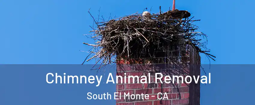 Chimney Animal Removal South El Monte - CA