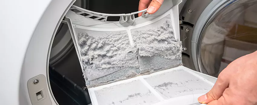 Best Dryer Lint Removal Company in South El Monte, California