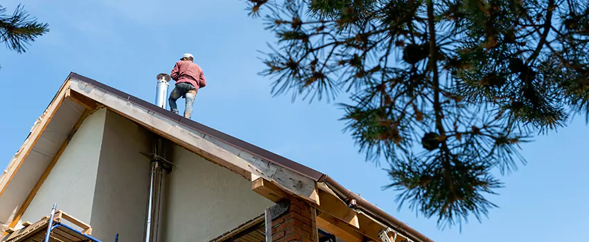Birds Removal Contractors from Chimney in South El Monte, CA